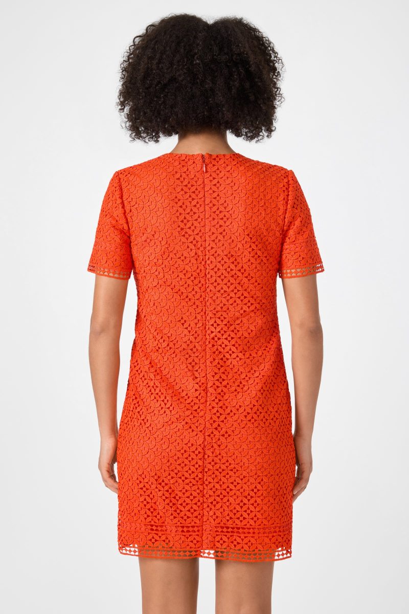 Kimasu Short-Sleeve Lace Mini Dress - Image 4